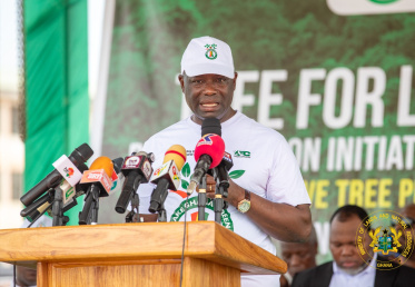 Ghana Targets 30 Million Trees in 2026 After Surpassing 31 Million in 2025