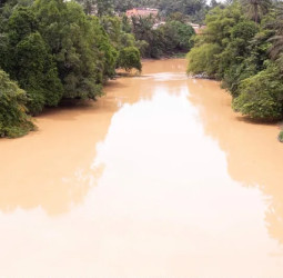 Aide to Tano North MCE calls on NAIMOS to be proactive in fighting galamsey