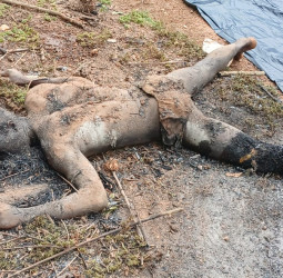 Farmer butchered wife, kills himself too