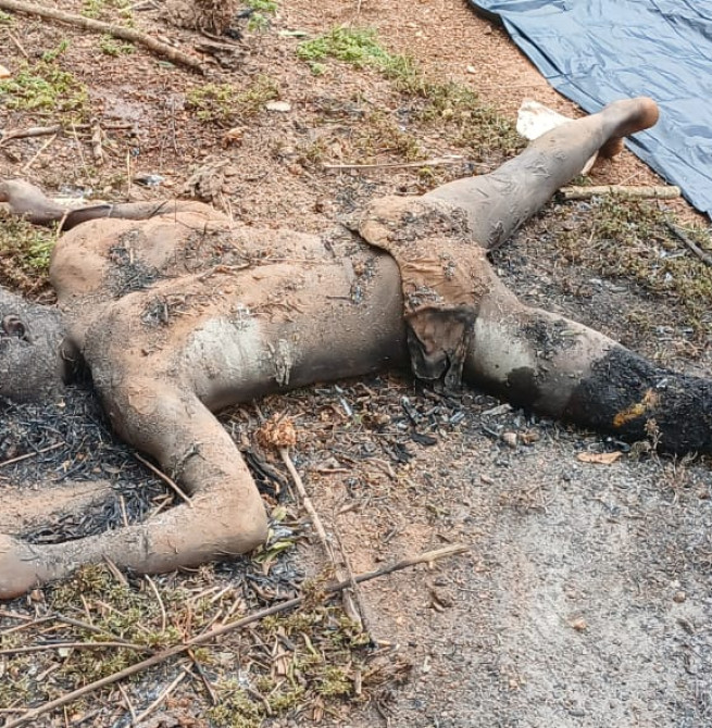 Farmer butchered wife, kills himself too